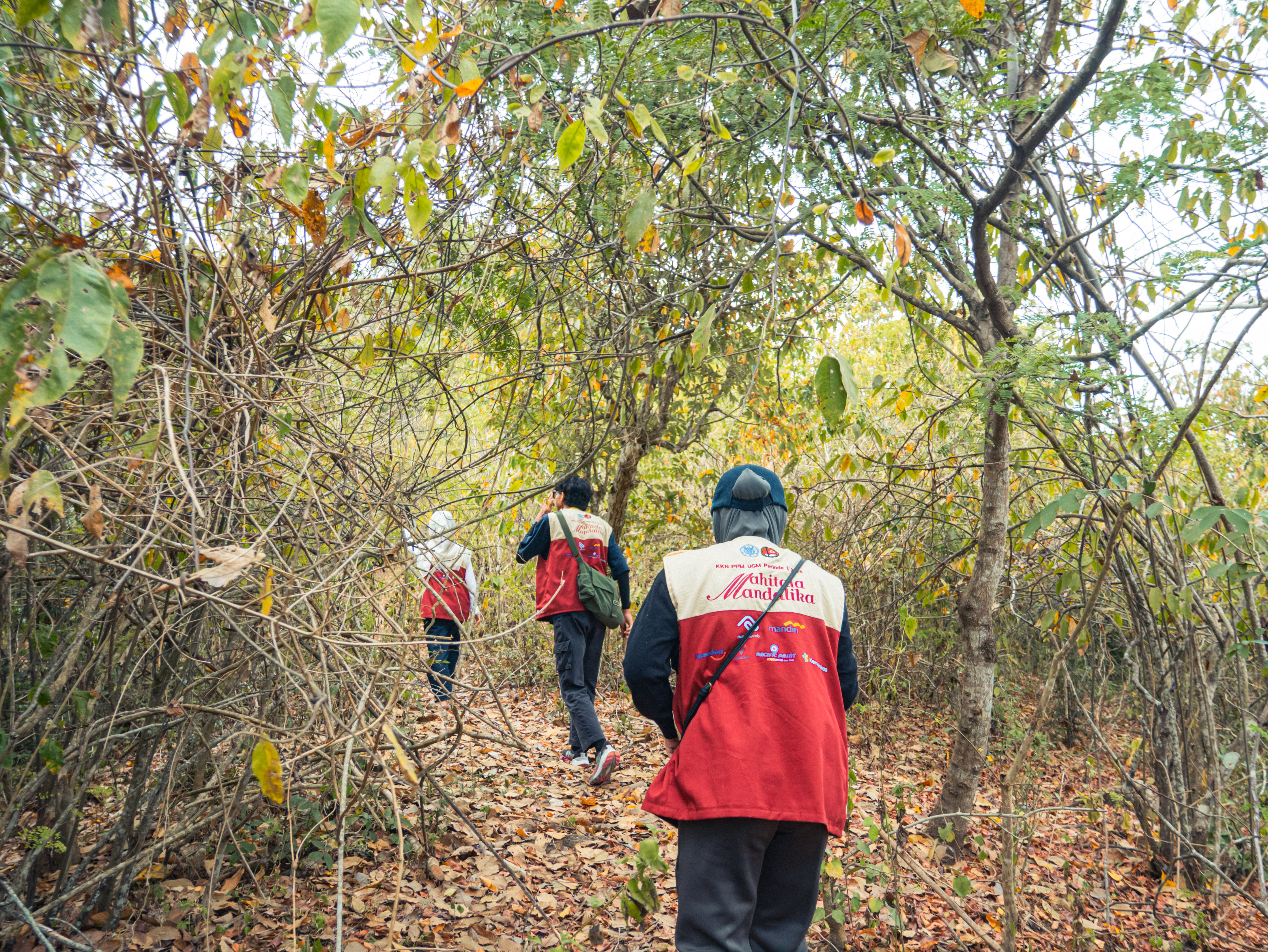 Pemandangan Kemal Muluk